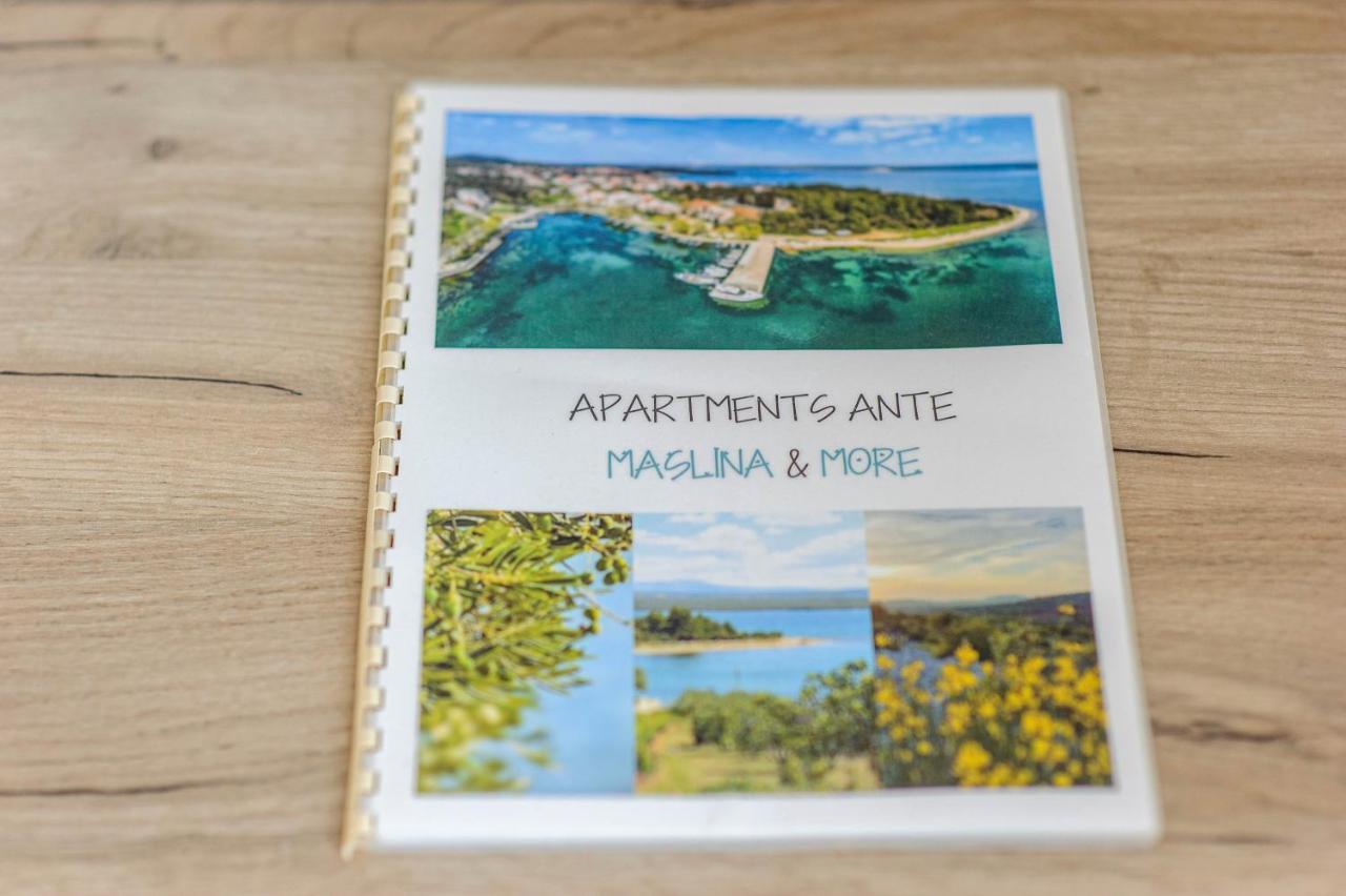 Apartmani Ante Σίμπενικ Εξωτερικό φωτογραφία